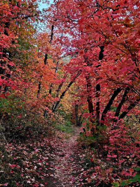 mill creek 2.jpg
